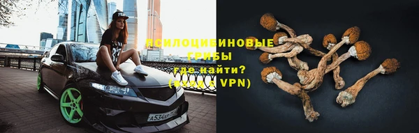 ПСИЛОЦИБИНОВЫЕ ГРИБЫ Алексеевка
