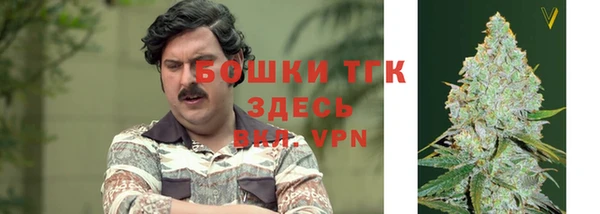 ALPHA PVP Алзамай