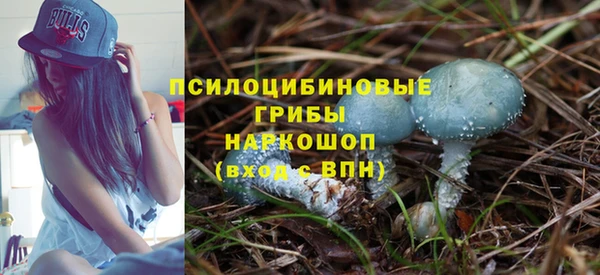 ПСИЛОЦИБИНОВЫЕ ГРИБЫ Алексеевка