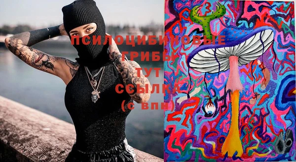 2c-b Алексин
