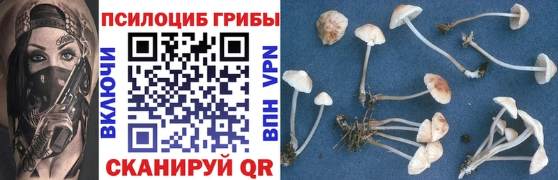 Псилоцибиновые грибы Psilocybe  Усмань 